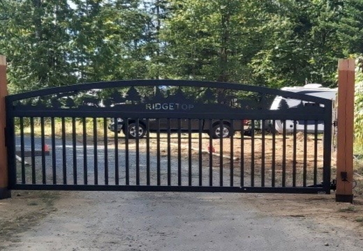 WJ306-GA-BC20-- BEAR AND COUGAR