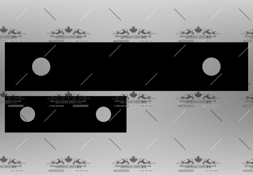 WJ163-FP-BC20-- BSKIPNESS PLATES