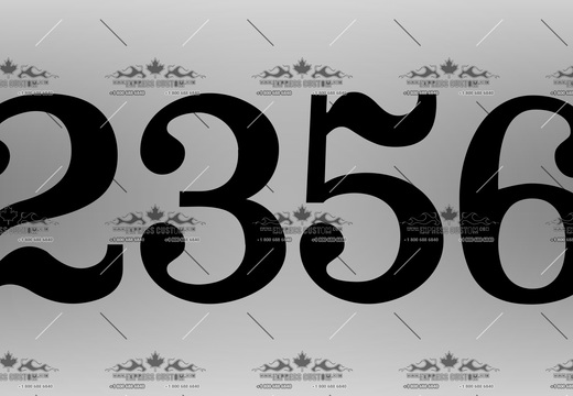 WJ227-HN-BC20-- 2356