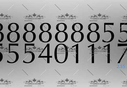 WJ235-HN-BC20-- 888888855555401117 NUMBERS