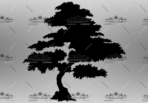 WJ287-WA-BC18-- 46IN ARBUTUS