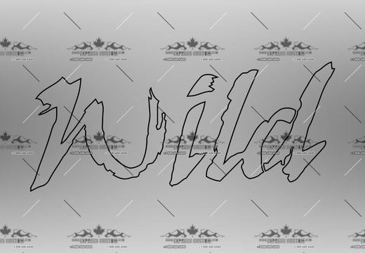 WJ371-MI-BC20-- WILD PLATE