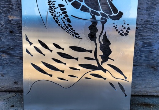 WJ081-GI-NT21-- Turtle