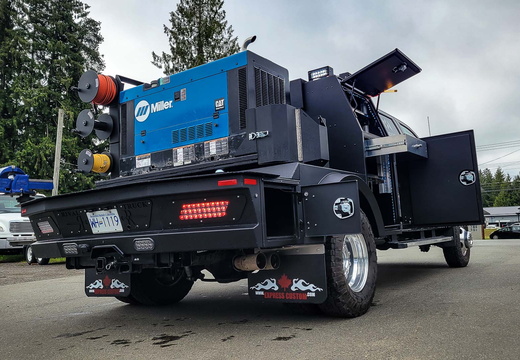 9-1175 - Paladin-D-II-56 -- D Mackenzie