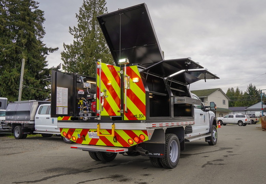 10-131 - Wildcats - #2 - VE101617